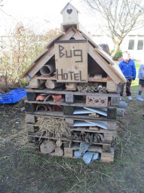 Junior Infants and the Bug Hotel!