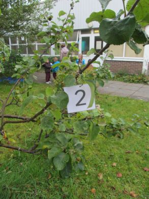 Maths Trail in Junior Infants